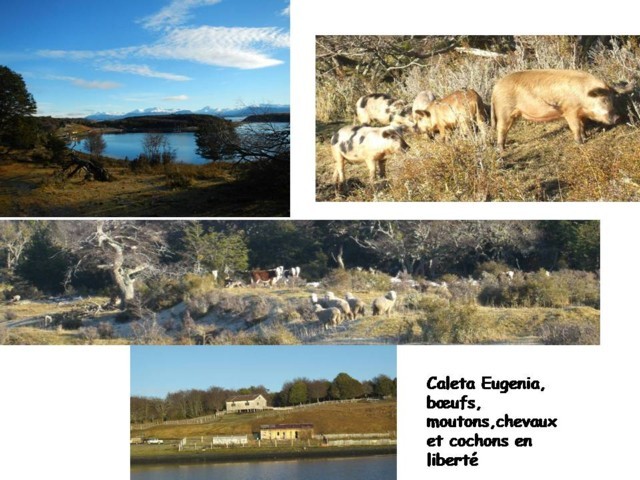 Patagonie - 9.jpg